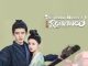 Drama China The Demon Hunter’s Romance Subtitle Indonesia